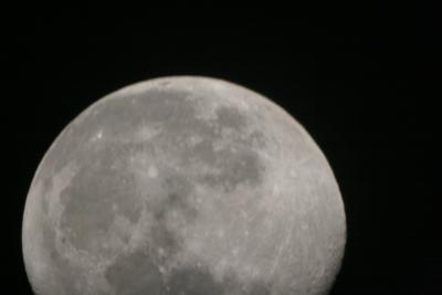 img_7021.jpg